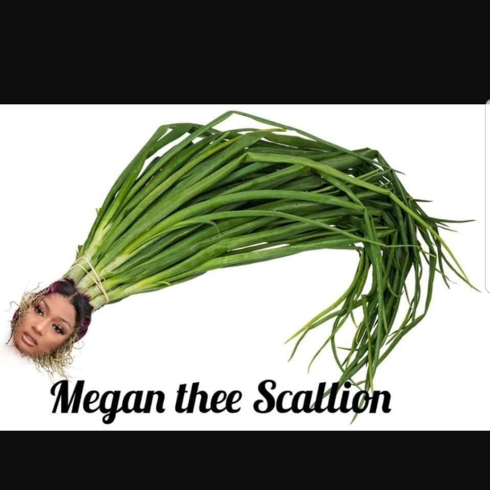 Meet your Posher, Leland